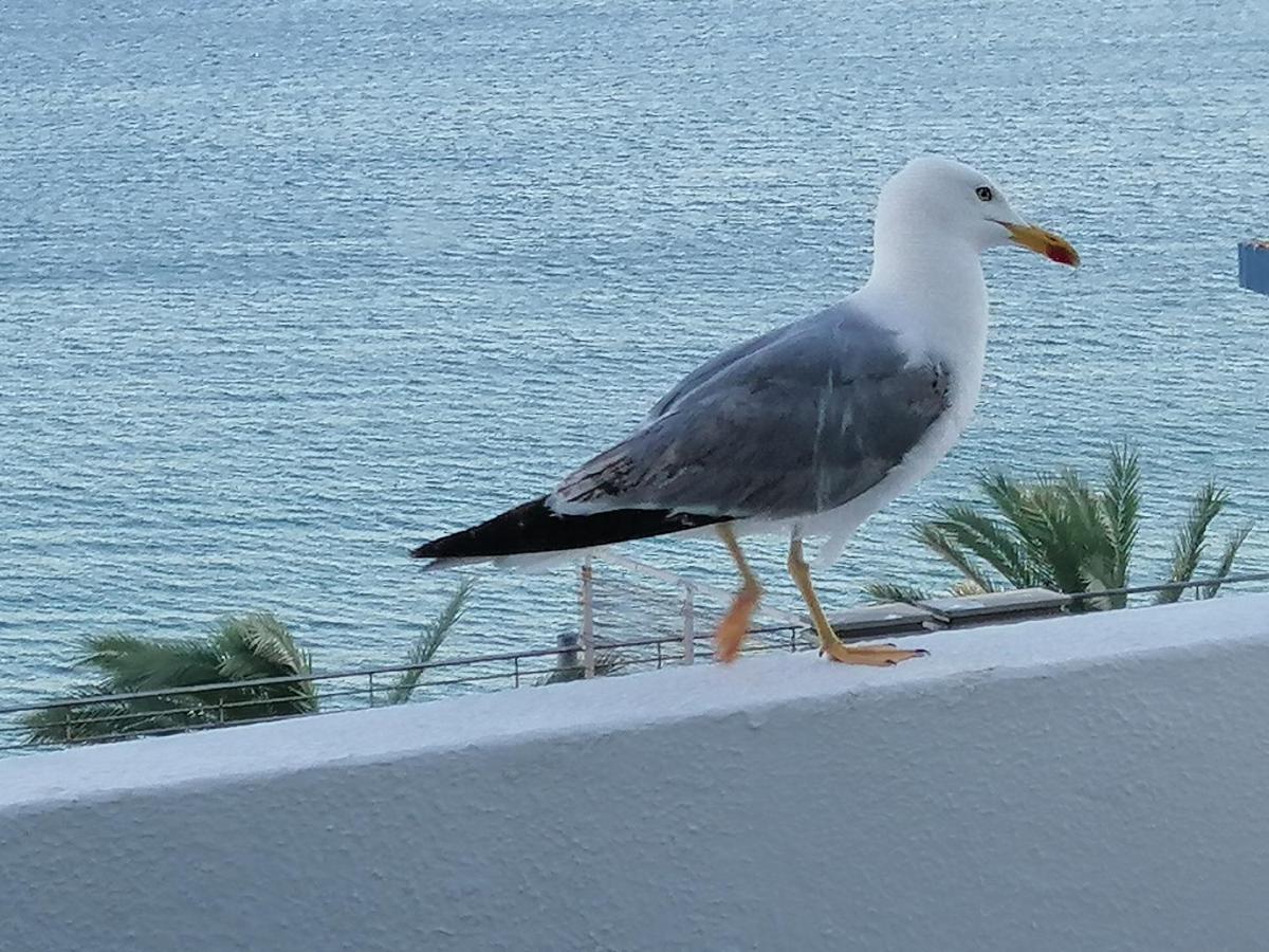 Sol, Mar E Praia Sesimbra Kültér fotó
